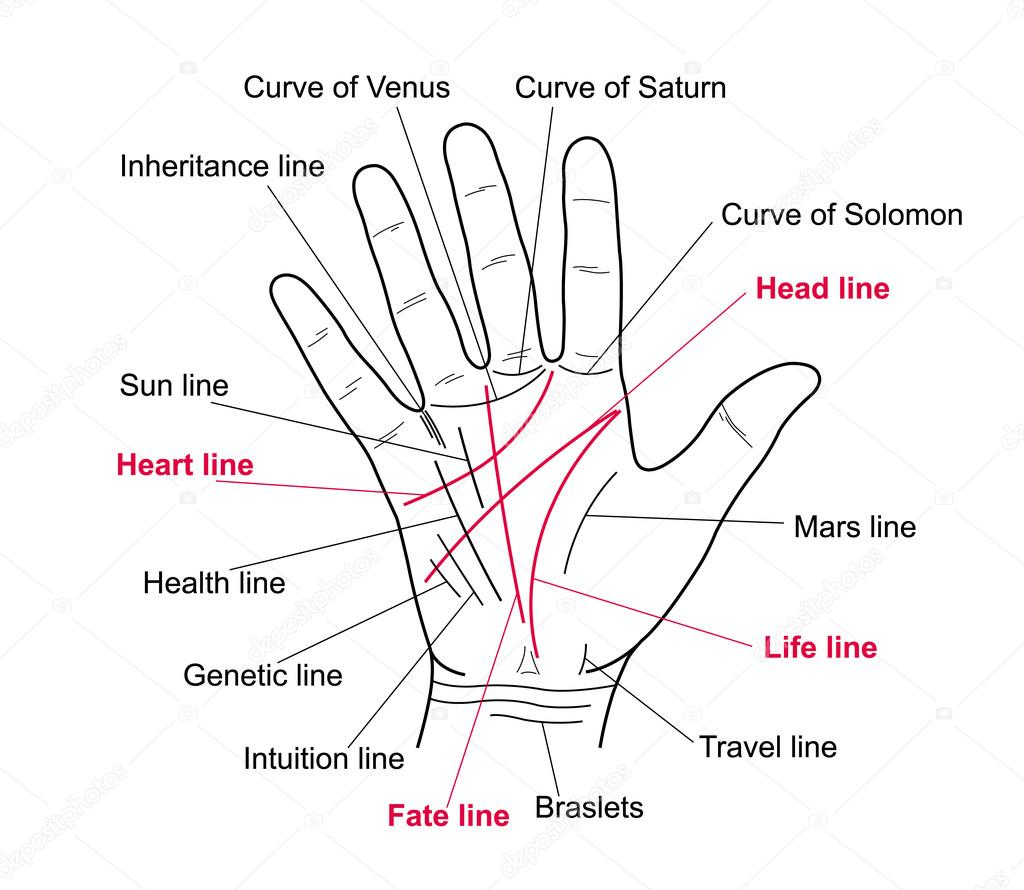 11 Most Auspicious Nakshatras for Marriage